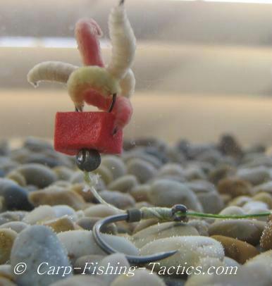  de pe net adunate - magot-dk-rig.jpg